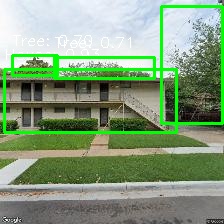 Object Detection Image