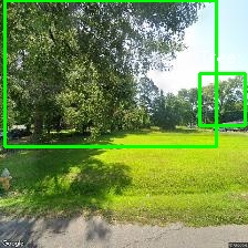 Object Detection Image