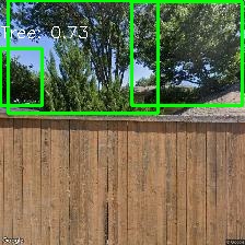 Object Detection Image