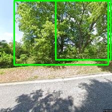 Object Detection Image