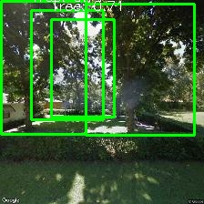 Object Detection Image