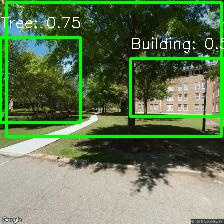 Object Detection Image