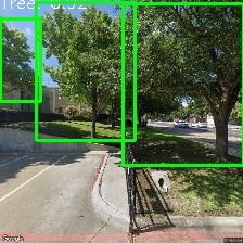 Object Detection Image