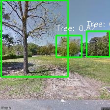 Object Detection Image