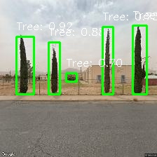 Object Detection Image