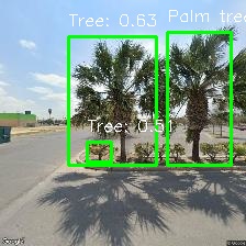 Object Detection Image