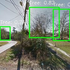 Object Detection Image