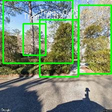 Object Detection Image