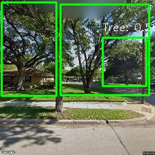 Object Detection Image