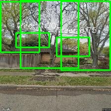 Object Detection Image