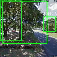 Object Detection Image