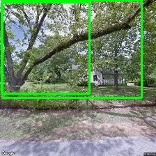 Object Detection Image