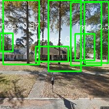 Object Detection Image