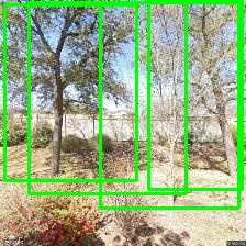 Object Detection Image