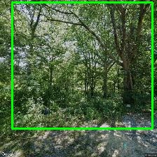 Object Detection Image