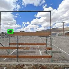 Object Detection Image