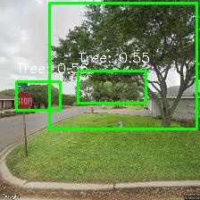 Object Detection Image