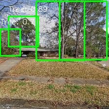 Object Detection Image