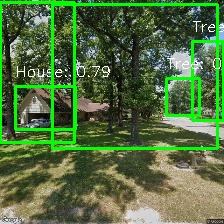 Object Detection Image