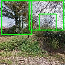 Object Detection Image