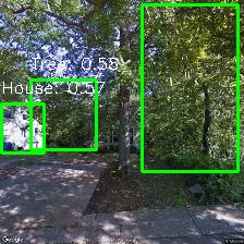 Object Detection Image