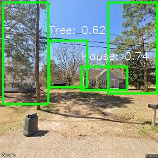 Object Detection Image