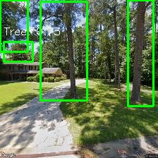 Object Detection Image