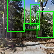 Object Detection Image