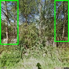 Object Detection Image