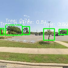 Object Detection Image