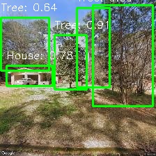 Object Detection Image