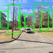 Object Detection Image