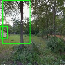 Object Detection Image