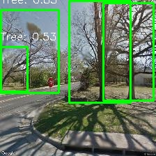 Object Detection Image