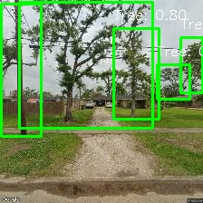 Object Detection Image