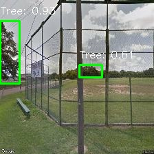 Object Detection Image