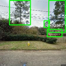 Object Detection Image