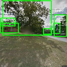 Object Detection Image