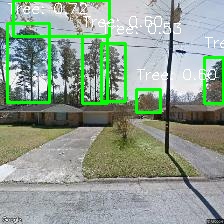 Object Detection Image