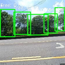 Object Detection Image