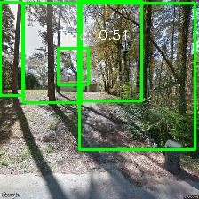 Object Detection Image