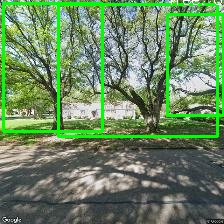 Object Detection Image