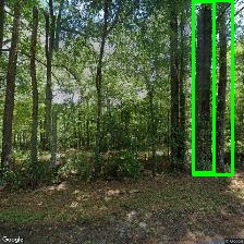 Object Detection Image