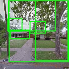 Object Detection Image