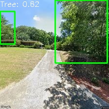 Object Detection Image