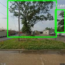 Object Detection Image