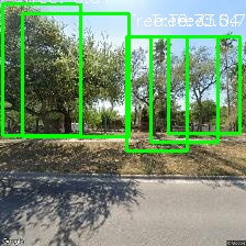 Object Detection Image