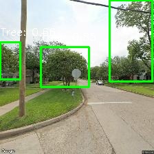 Object Detection Image