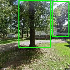 Object Detection Image