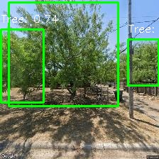 Object Detection Image